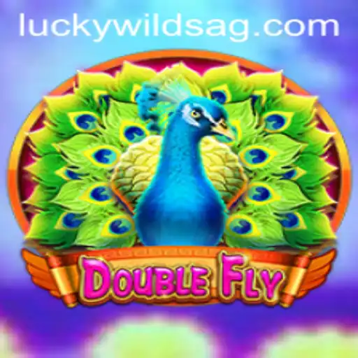 DoubleFly: A Thrilling Gaming Experience with 67.bet